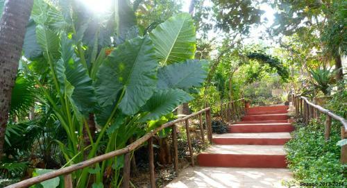 Hostal Secret Garden Resort