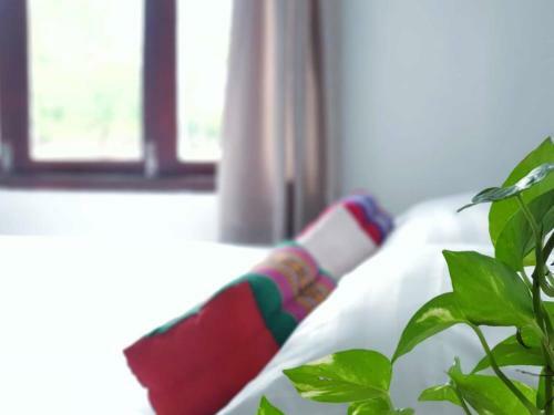 Baan Argong Homestay Pakphanang