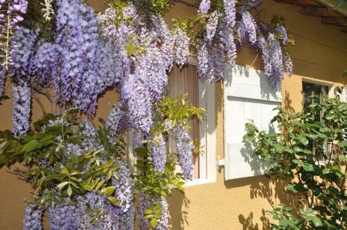 B&B La Cerisaie