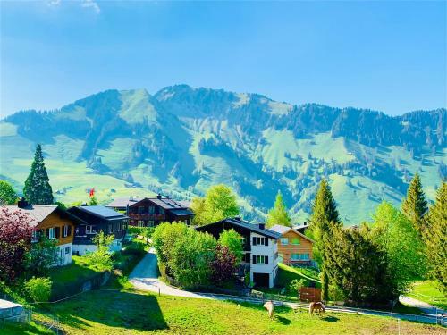 The Swiss Paradise 1 Penthouse Apartment