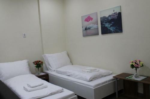 Hostal Pension Tv