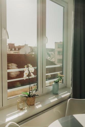 New Equipped Apartment In The City Center