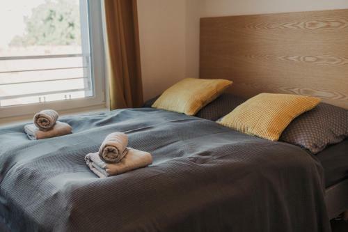 Apartamento Beautiful New Studio, 400m From The Square