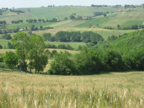 Apartamento Il Giardino Degli Ulivi
