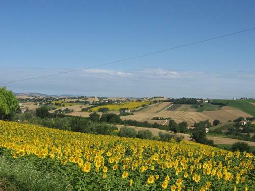 Apartamento Il Giardino Degli Ulivi