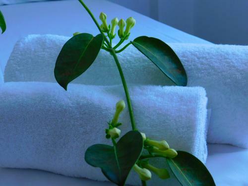 Apartamento Aktis Makrigialos Luxury Apts