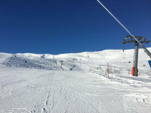 Oppheim-myrkdalen Privat Hytte