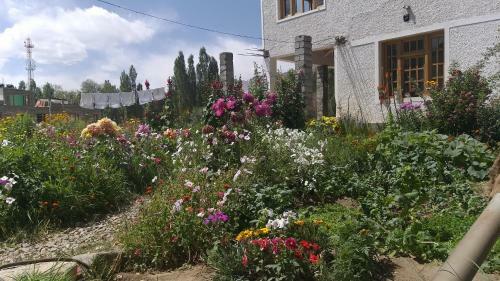 Hostal The New View Guest House