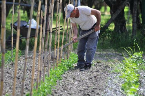 Agroturismo I Cedri Agriturismo