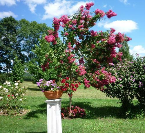 Bed & Breakfast Domaine V�ga