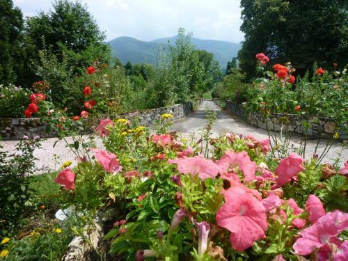 Bed & Breakfast Domaine V�ga