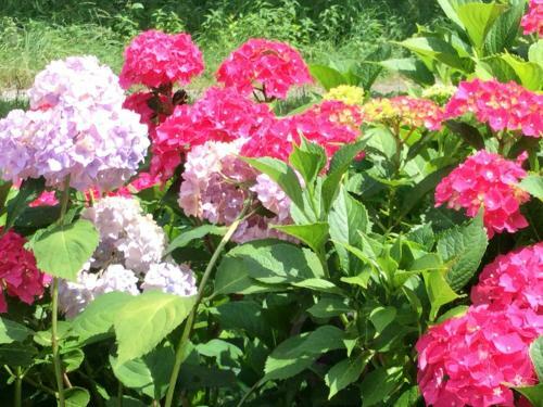 Hostal Landhaus Grete