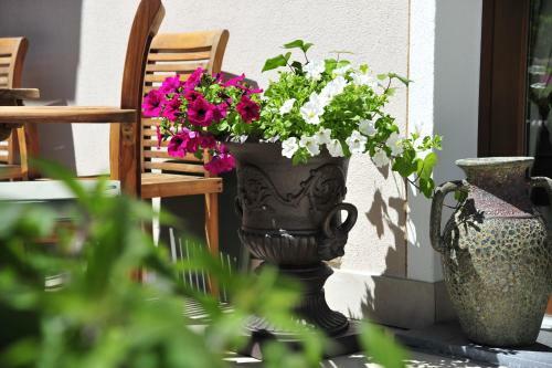 Die Seefelderin - Boutiquehotel St. Georg