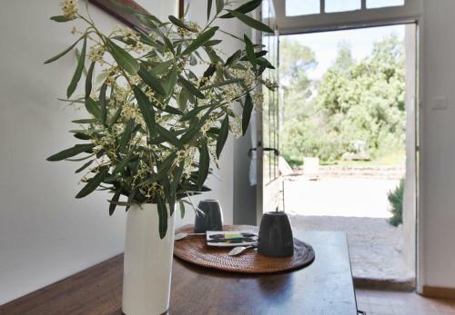 Bed & Breakfast Le Moulin En Provence