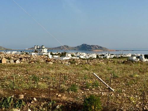 Cycladic House