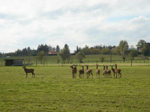 Bed & Breakfast La Ferme Aux Biches