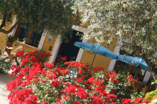 B&B Mariposa