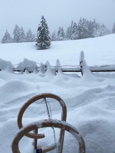 Apartamento Vl-wohnen Alpin Estate