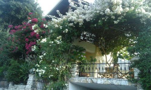 Traditional House