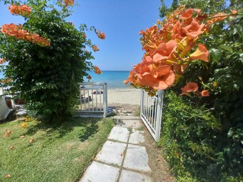 Apartamento Halkidiki Greek Pride Evlogia Seaside