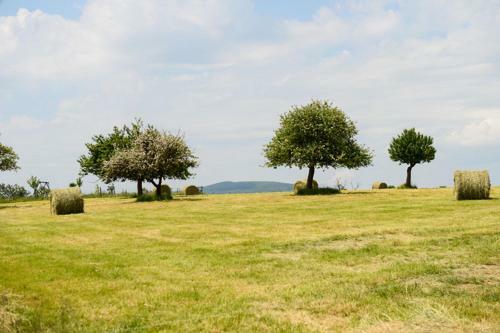 Hotel Logis La Lentillere (Restaurant C�t� Parc)