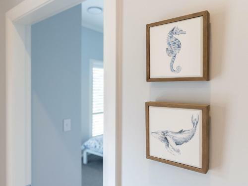 Fins At Fingal 7 Tuna Crescent
