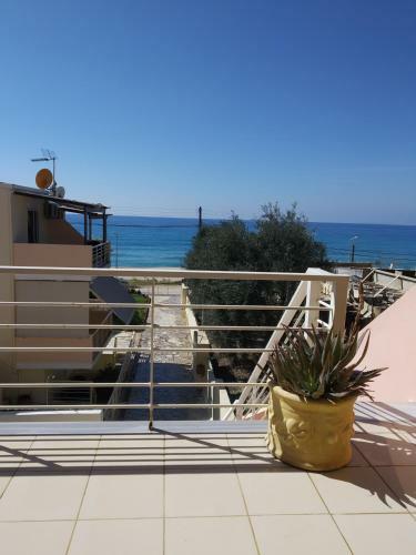 Seaside House