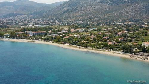 Palmar Club - Villa Zenobia