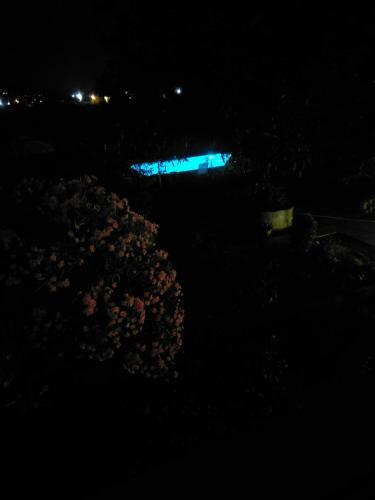 Holiday Home Next To Orange Tree Orchard