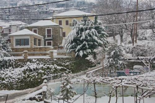 Villa Archontiko Prigkou