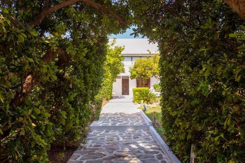 Villa Oasis Lagonisi With Garden And Large Pool