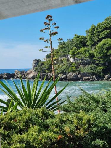 Apartamento Corfu Dream Glyfada 38