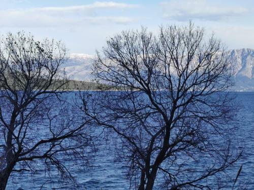 Apartamento Lefkada Beach House Nikiana
