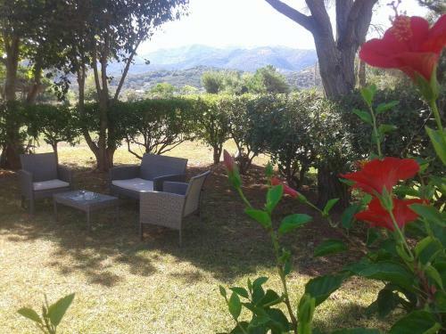Villa Angela, Seafront Apartments, Almiros Beach