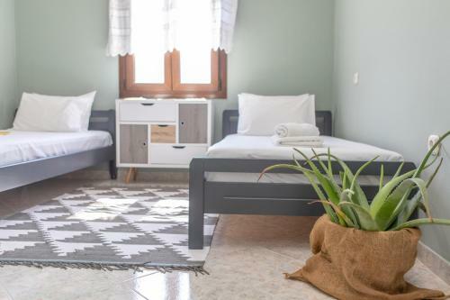 Apartamento Naxos View