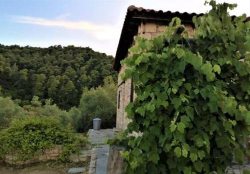 Wood & Stone Dream View House A