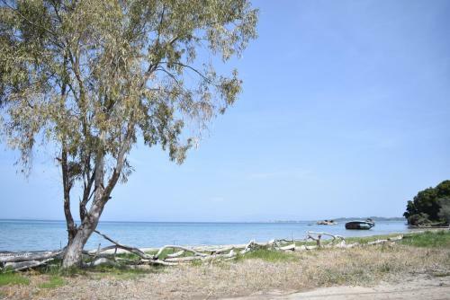 Villa Corfu Seaview Maisonette - Sopra Il Mare
