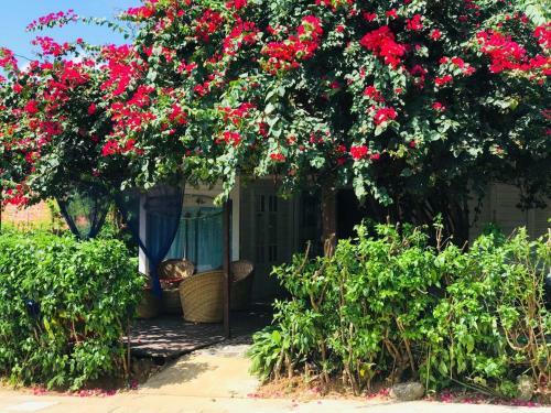 Bed & Breakfast Pousada Portal Dos Golfinhos
