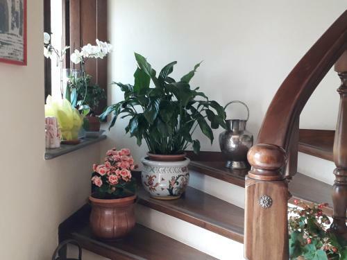Bed&breakfast Pianeta Benessere