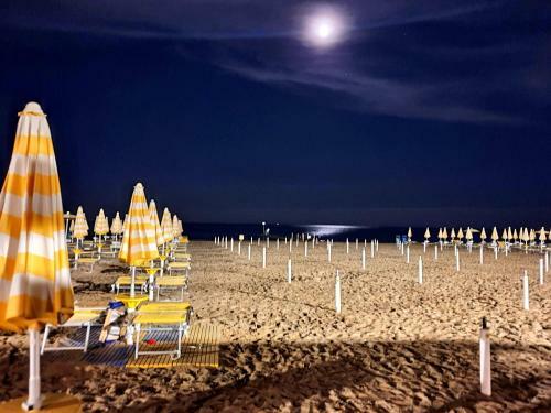 Apartamento Lido Di Dante 87