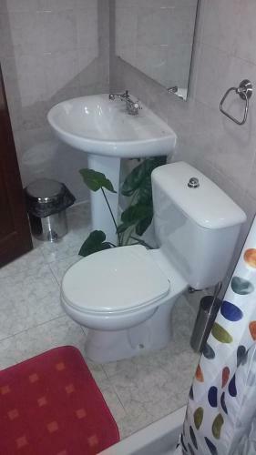 Apartamento Estudio Interior En La Calle Real Sclp