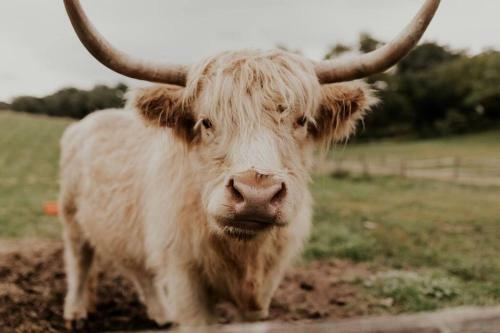 Big Rock Creek