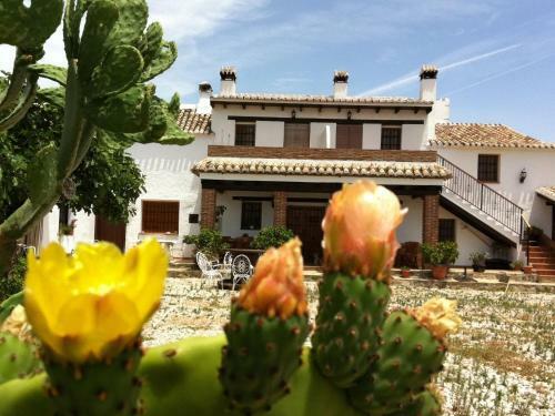 Holiday Home Cortijo Las Monjas Periana