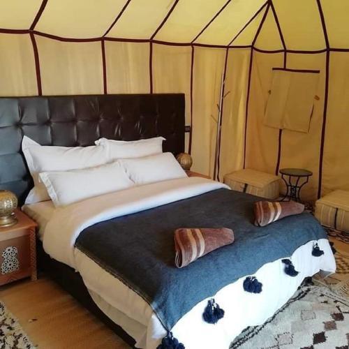 Night Desert Luxury Camp