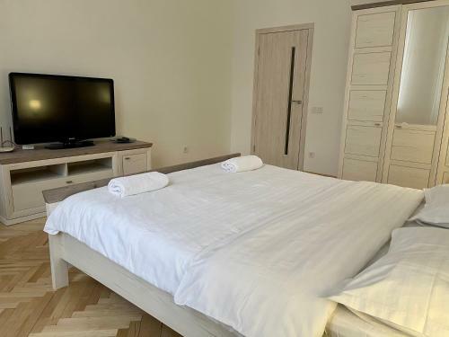Avangard Passage Kryva Lypa Apartment