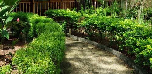 Hotel Lapas Volando