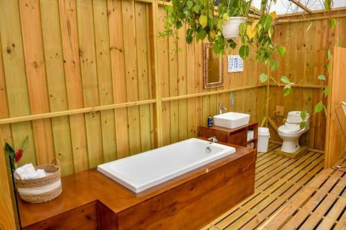Seren Glamping