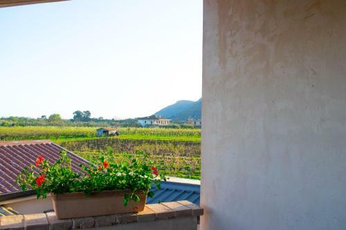 Apartamento Camera Gardenia - B&B Antico Casale