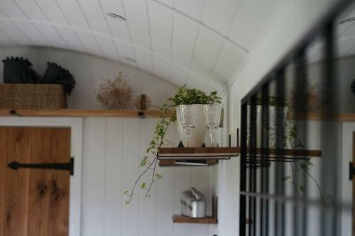 Romantic Shepherd's Hut With Own Hot Tub
