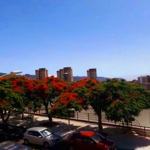 Tourist House Santa Cruz